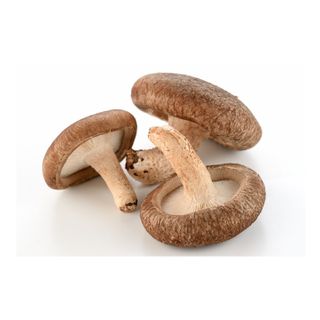 Shiitake Mushroom (~200g) 