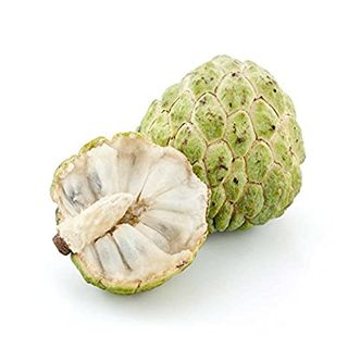 Custard Apple