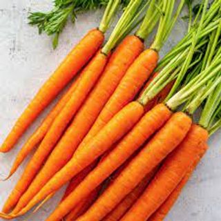 Carrot - Ooty