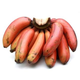 Banana - Red