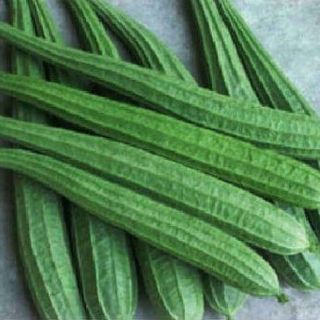 Ridge Gourd