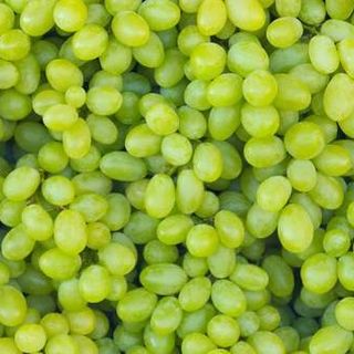 Grapes - Green