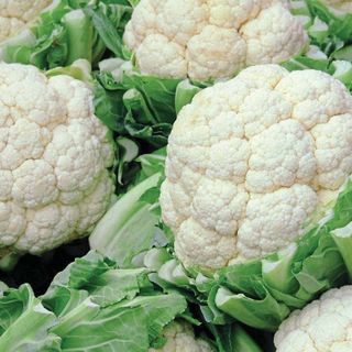 Cauliflower