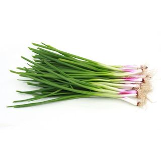 Spring Onions