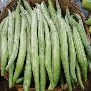 Snake Gourd