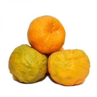 kamala Orange - Indian