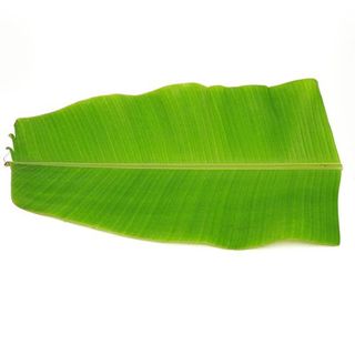 Banana Leaf