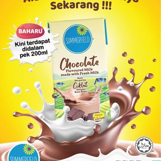 Chocolate 200 ml per karton