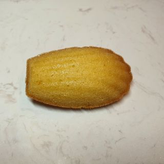 Honey Butter Madeleines (8pcs)