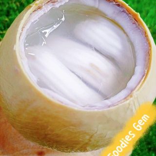 Thai Coconut Jelly - 1 Set (3pcs)