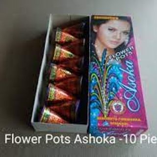 Flower Pot - Asoka